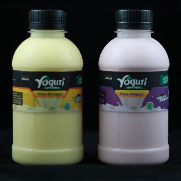 yoguri-yogurt