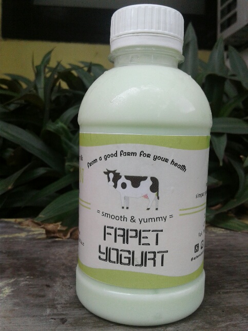 fapet-yoghurt-250-ml