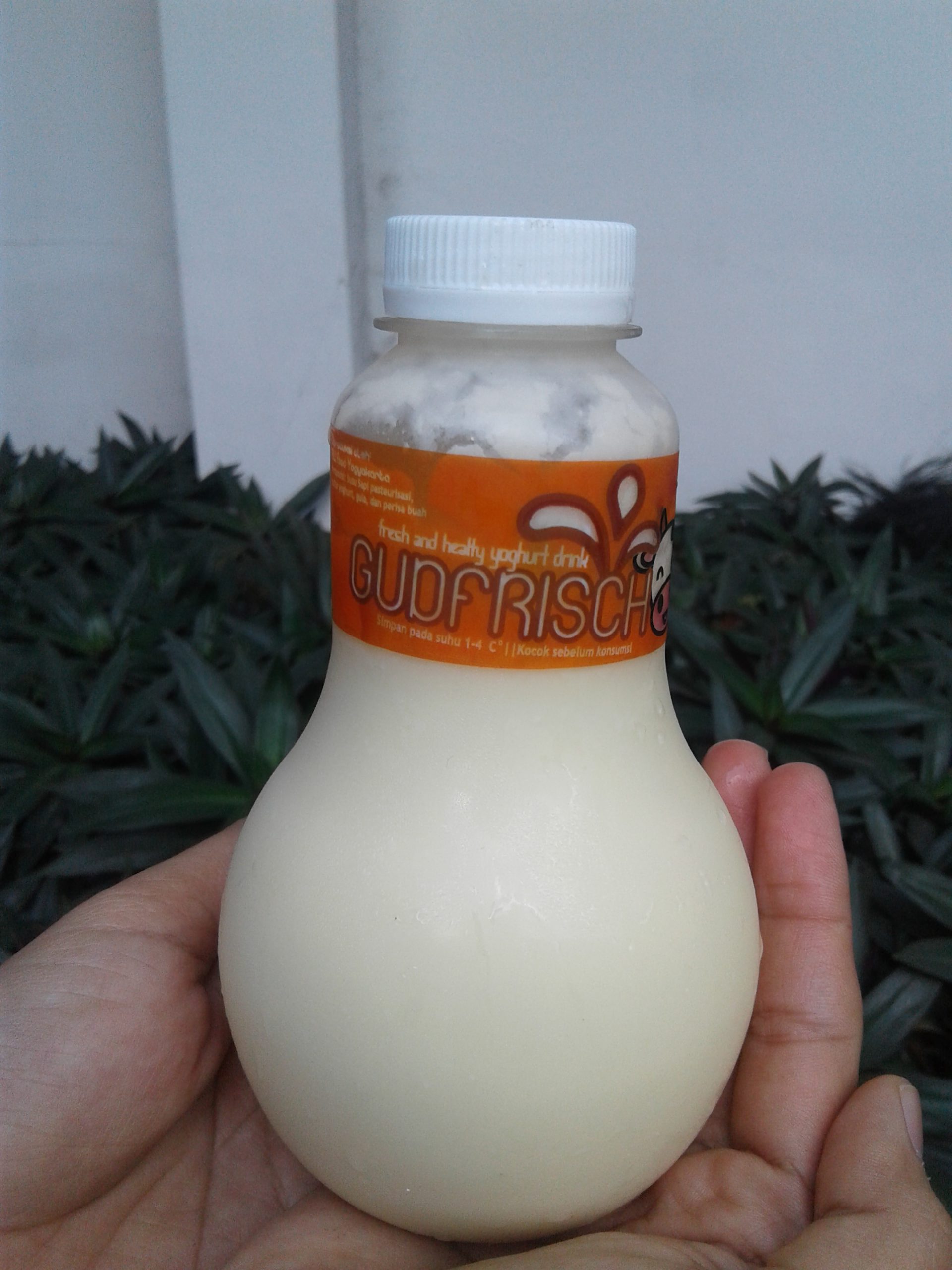 gudfrisch-yoghurt-drink-300-ml